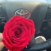 nailgrl34